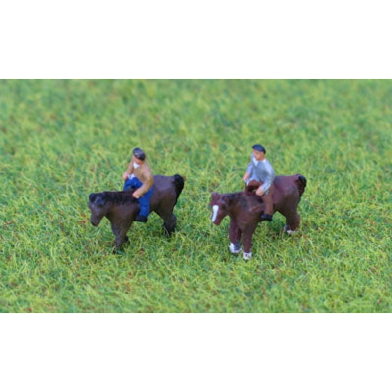 Horses & riders (2)