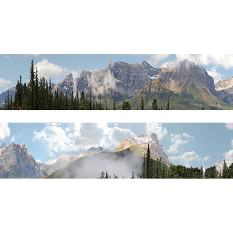N260 ROCKIES N GAUGE BACKSCENE