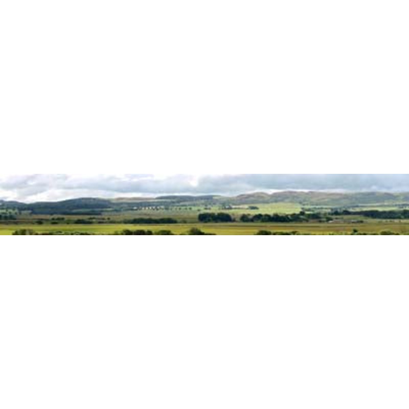 P208C PREMIUM HILLS & DALES OO 9 BACKSCENE