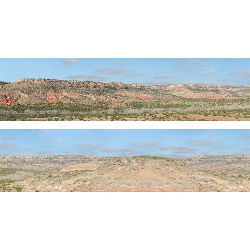 P225A DESERT BACKSCENE PREMIUM