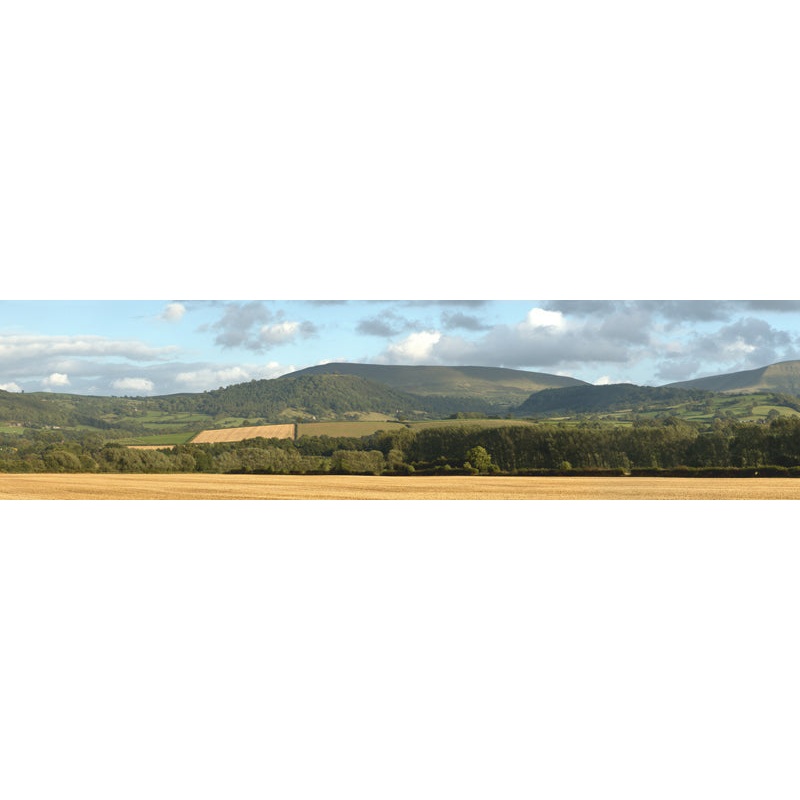 P242 PREMIUM HARVEST HILLS OO 15 BACKSCENE