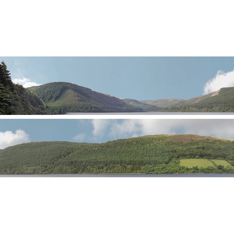PN201 FOREST HILLS N GAUGE PREMIUM BACKSCENE