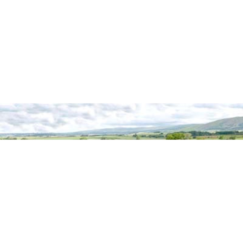 PN208A HILLS & DALES N GAUGE PREMIUM BACKSCENE