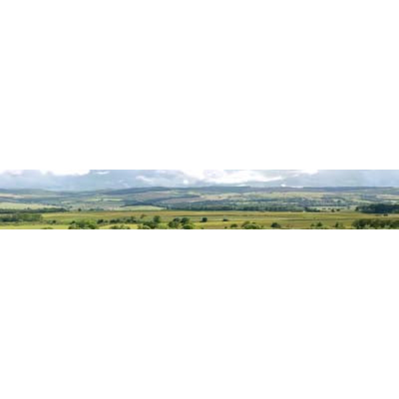 PN208B HILLS & DALES N GAUGE PREMIUM BACKSCENE