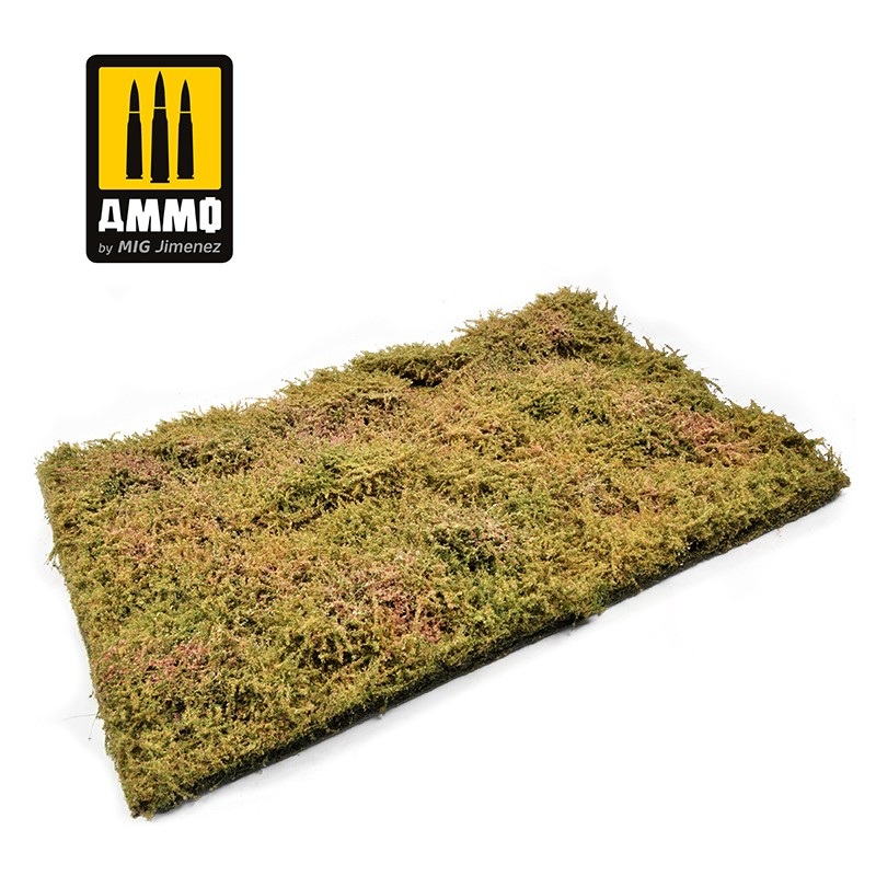 Wilderness Fields with bushes – late summer