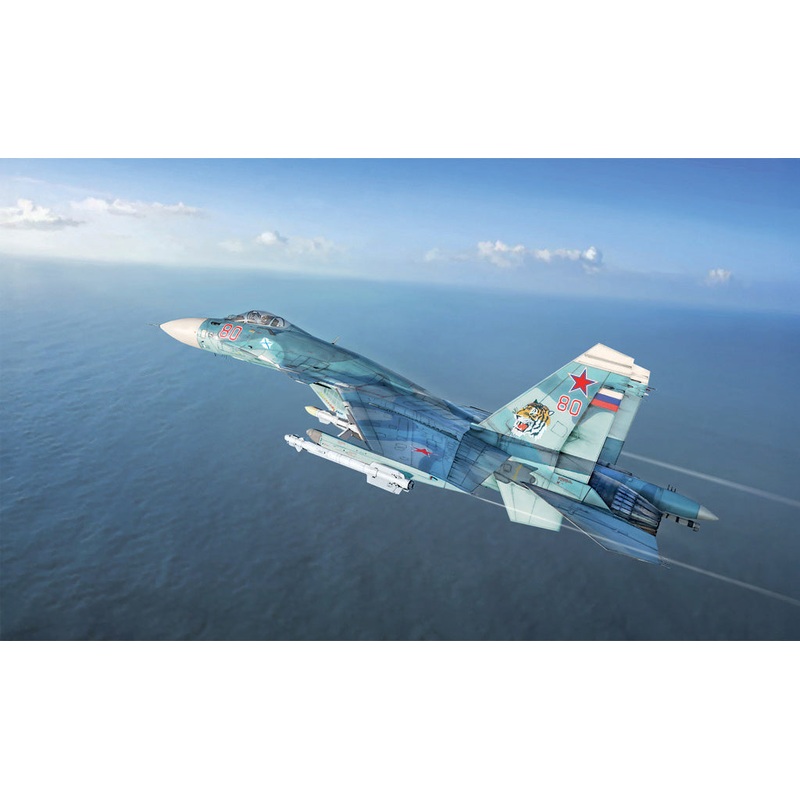 Italeri 1/72 Su-33 Sea FlankerD 197