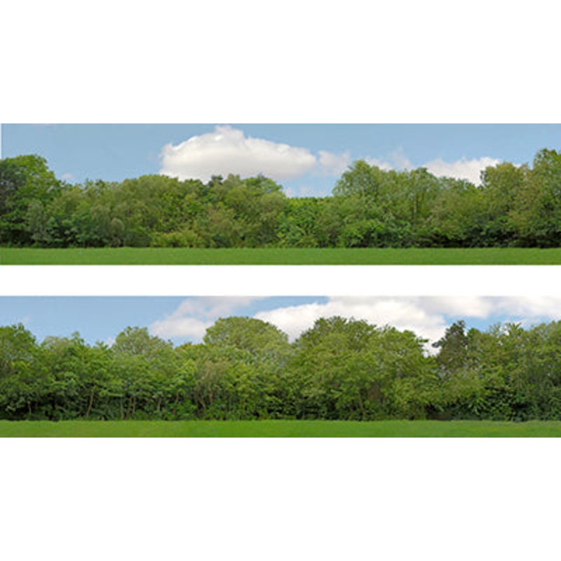 149 A 00 GAUGE 15 TREES