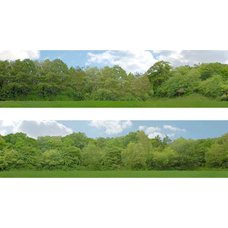 149 B 00 GAUGE 15  TREES