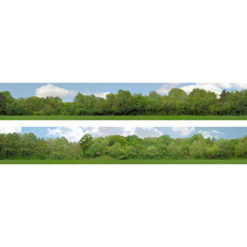149NA 9 INCH N GAUGE TREES