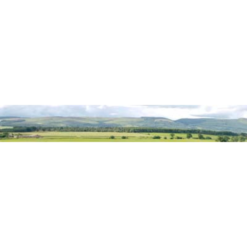 208D HILLS & DALES 00 9 HIGH BACKSCENE