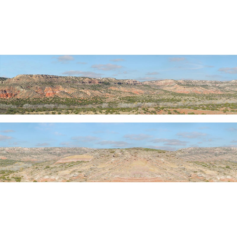 225A DESERT BACKSCENE
