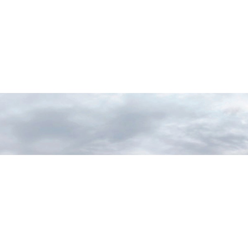 503 A OVERCAST SKY OO 15 HIGH BACKSCENE