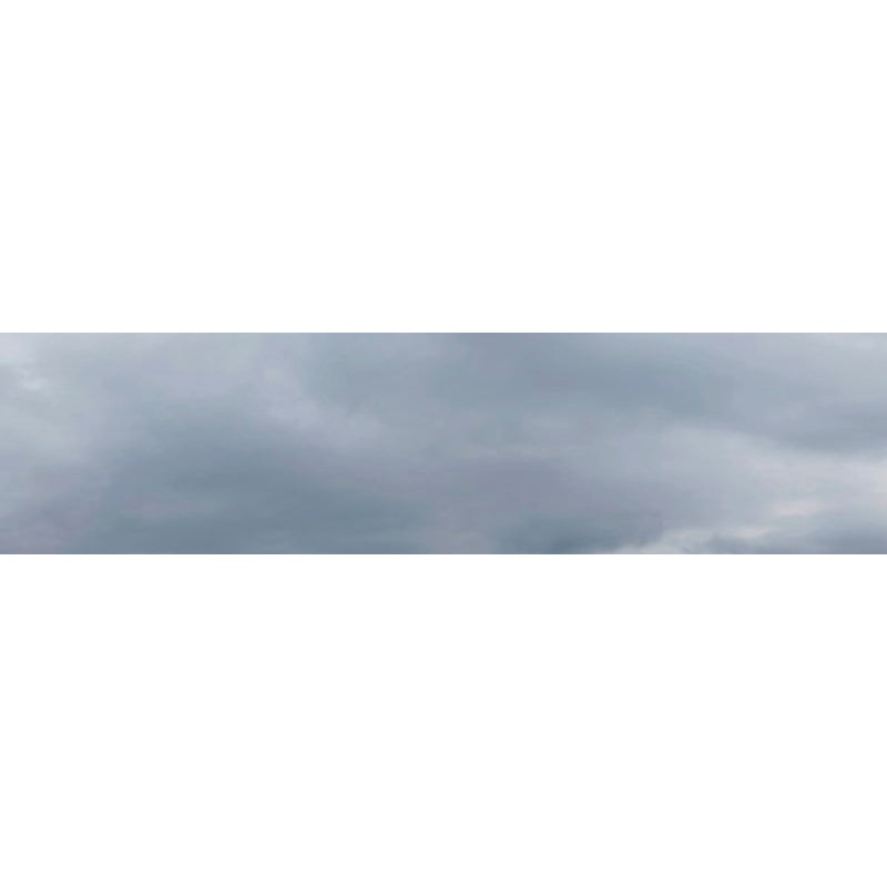 503 B OVERCAST SKY OO 15 HIGH BACKSCENE
