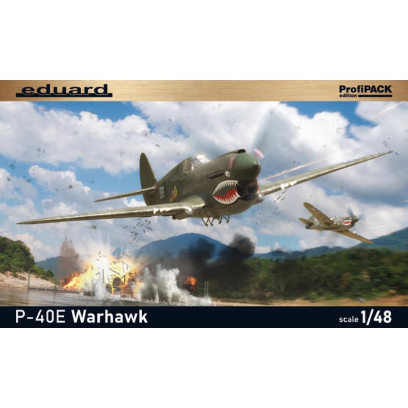 Eduard 1/48 P-40E Warhawk Kit 82241