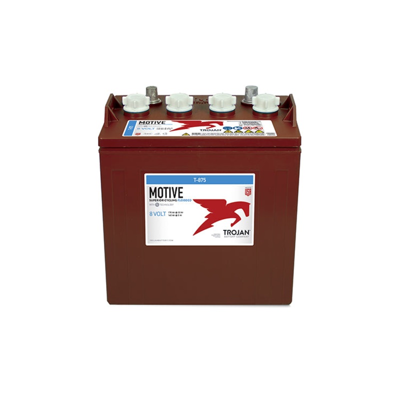 Trojan T-875 Deep Cycle Battery 8V 170AH