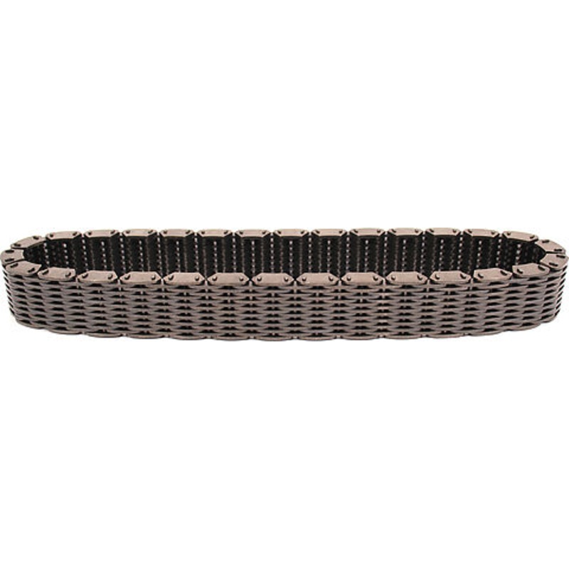 Primary Chain