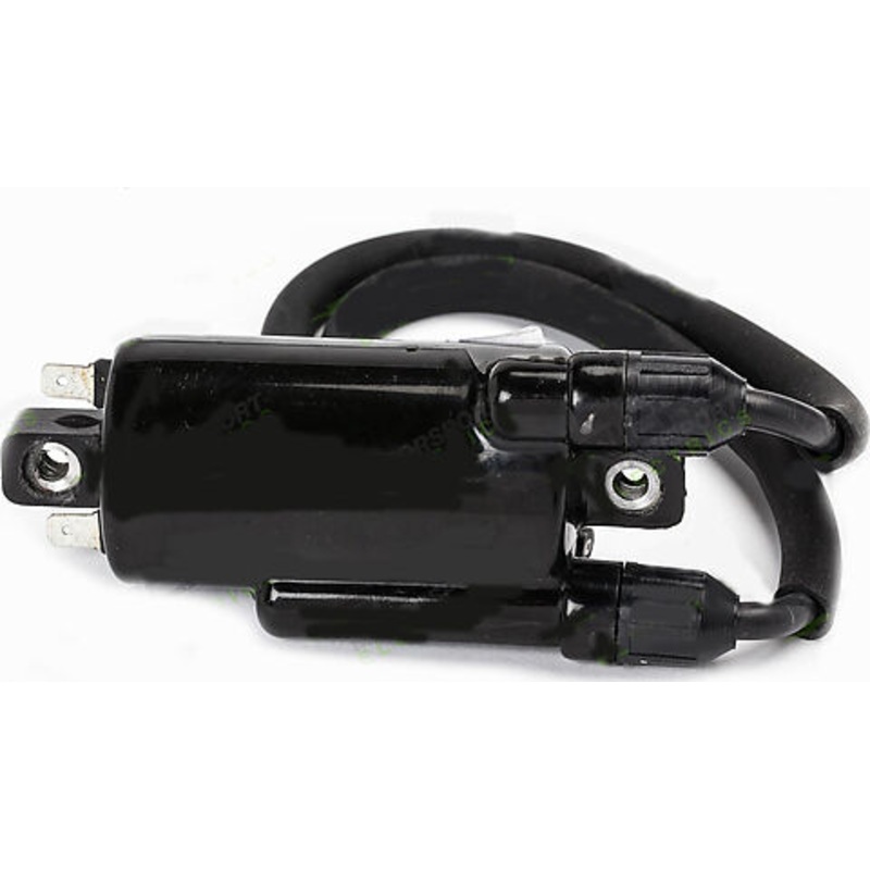 Rick’s Electrics Brand ~ Ignition Coil
