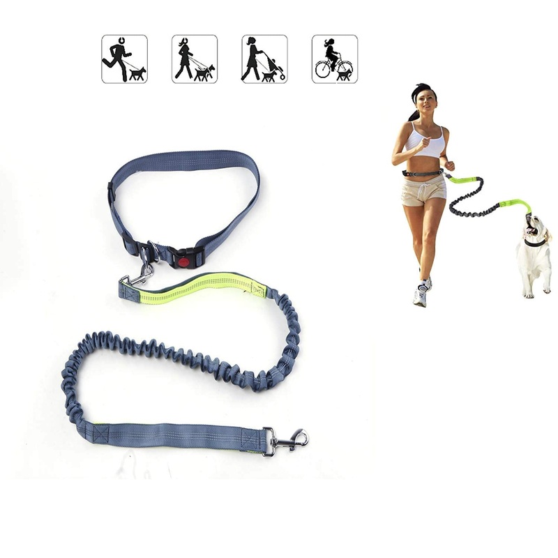 Electomania  Dual-Handle Reflective and Adjustable Bungee Dog Leash 2 in 1 SetGrey Blue