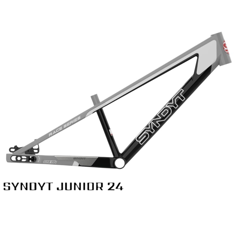 SYB 194: 19 TT Junior 24 BMX Frame